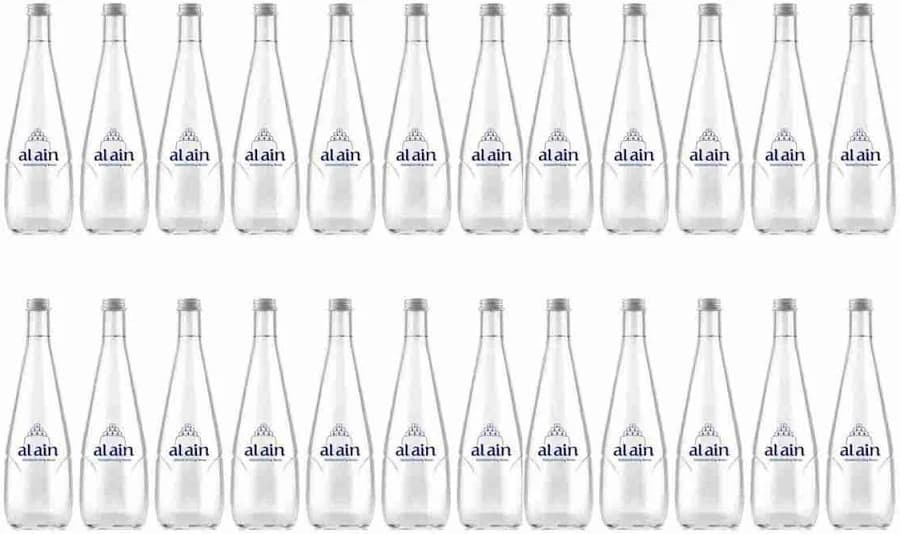 900 pcs Glass Water Bottles 330ml with Client Logo